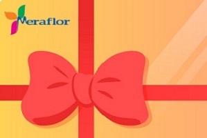 https://www.meraflor.com/wp-content/uploads/2023/09/gift_card_003_1500px-SMAILL.jpg